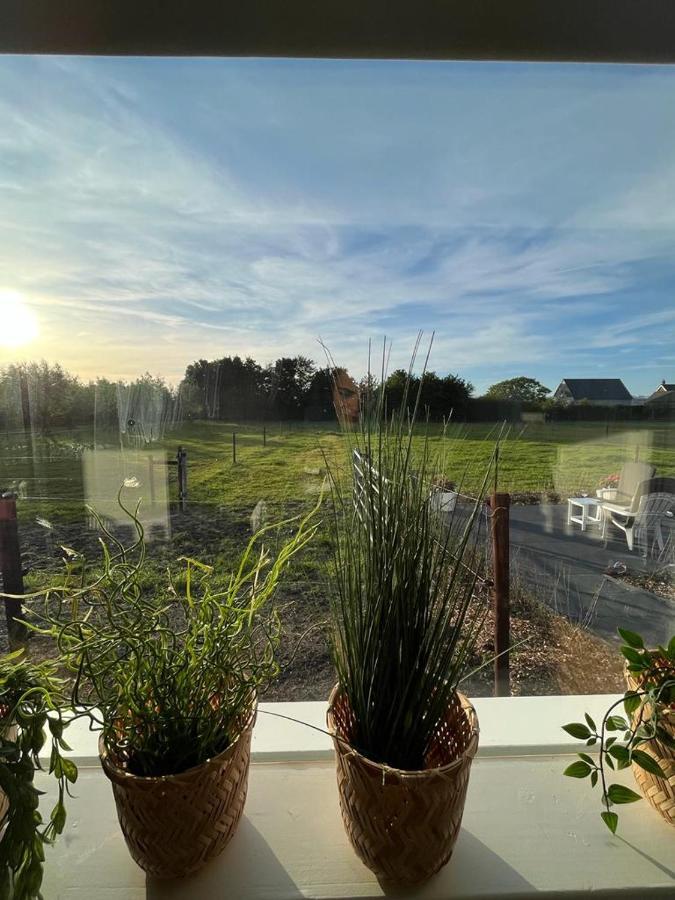 De Tulp Bed & Breakfast Noordgouwe Dış mekan fotoğraf