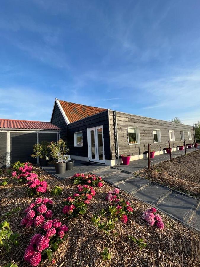 De Tulp Bed & Breakfast Noordgouwe Dış mekan fotoğraf