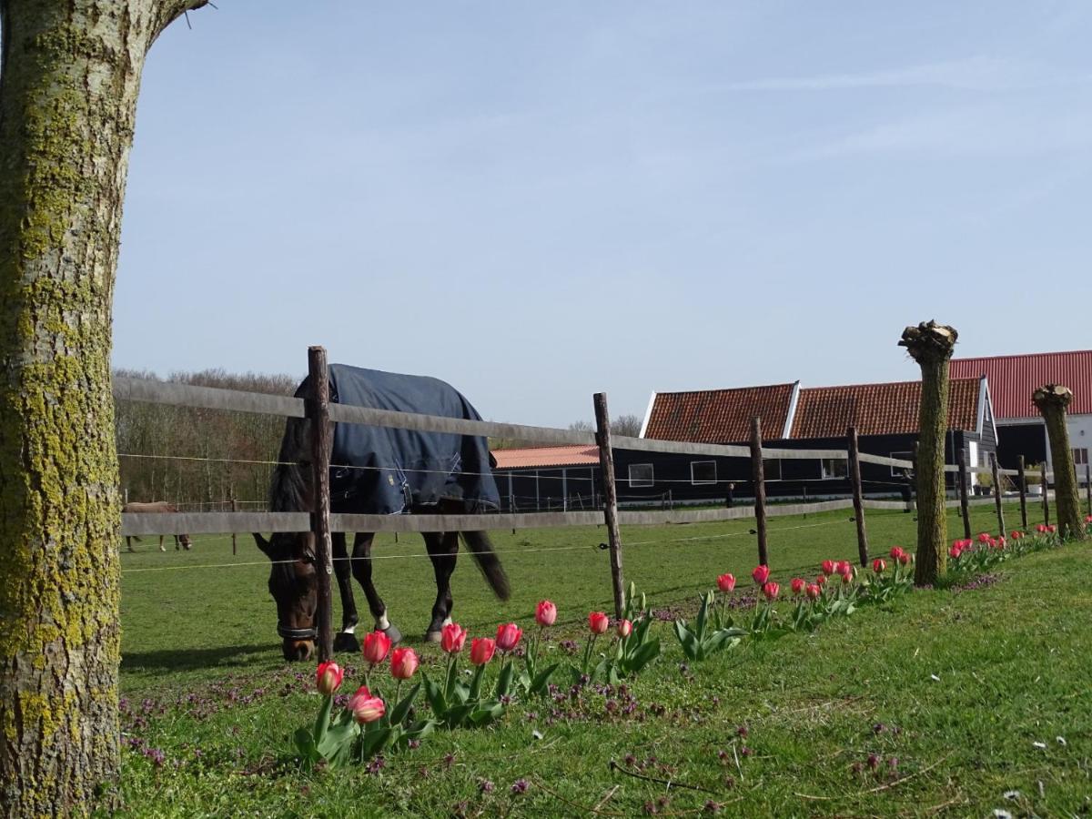 De Tulp Bed & Breakfast Noordgouwe Dış mekan fotoğraf
