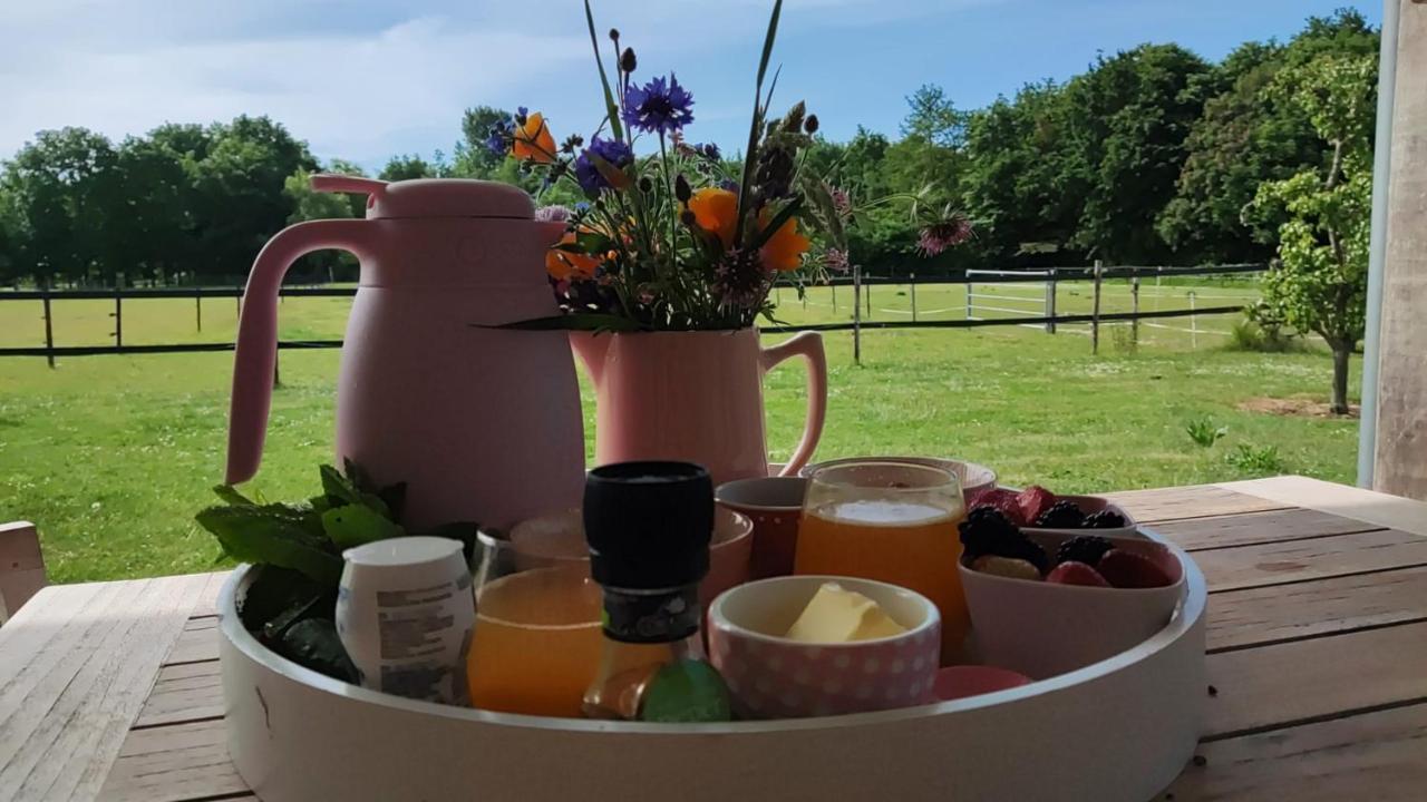 De Tulp Bed & Breakfast Noordgouwe Dış mekan fotoğraf