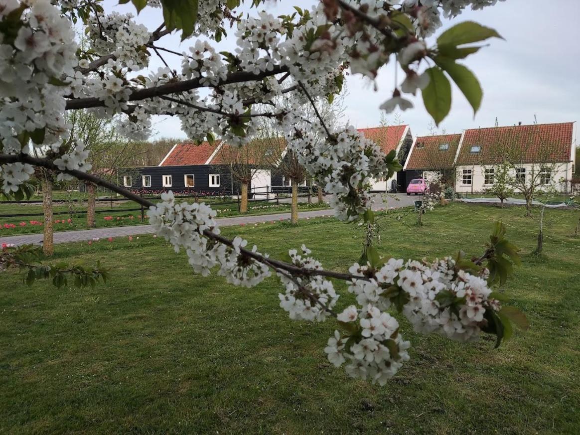 De Tulp Bed & Breakfast Noordgouwe Dış mekan fotoğraf